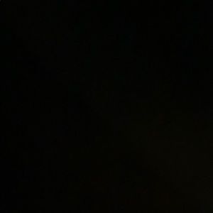 Meet your Posher, Bella